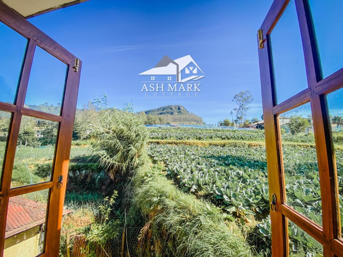 نوفارا إيلِيا Ash Mark Cottage المظهر الخارجي الصورة